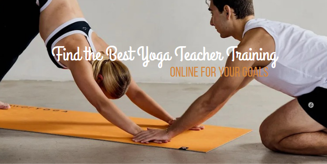 best yoga teacher training online