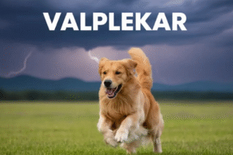 Valplekar