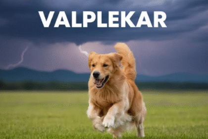 Valplekar