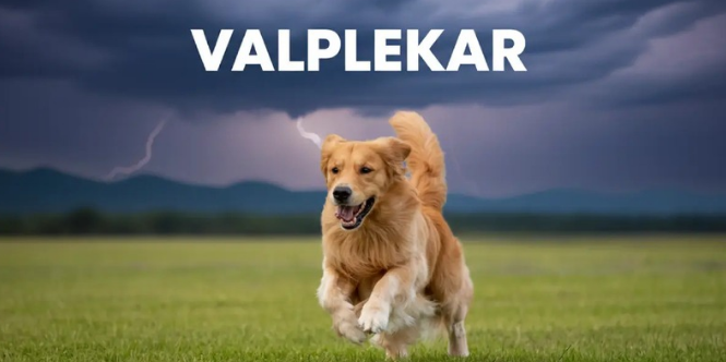 Valplekar